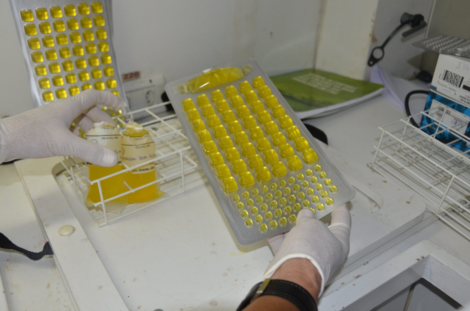 Laboratory technician examining microbiological water test trays during coliform testing in an accredited laboratory